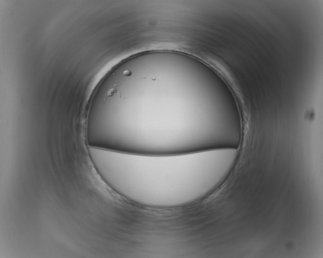 X0000112971340200908270934