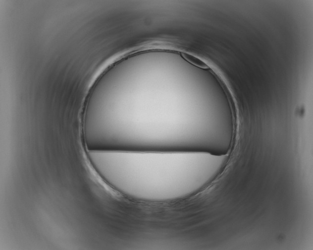 X0000112971341200908270934