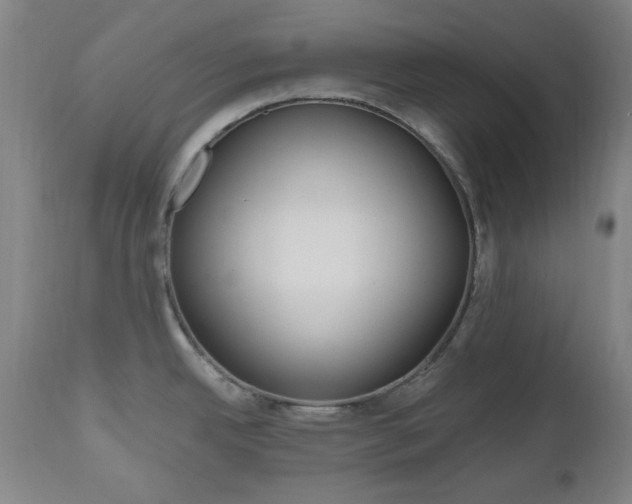 X0000112971342200908270934