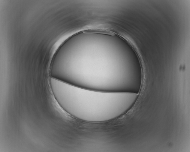 X0000112971344200908270934