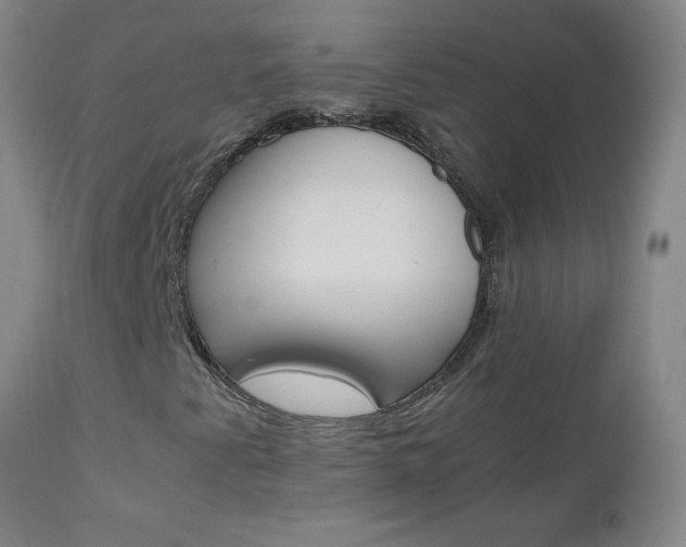 X0000112971345200908270933