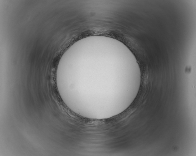 X0000112971346200908270933