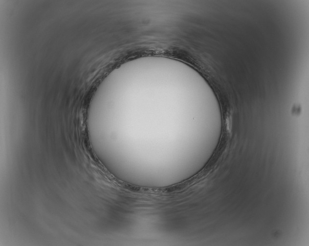 X0000112971347200908270933