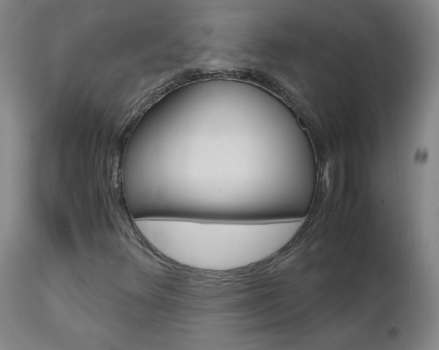 X0000112971348200908270933