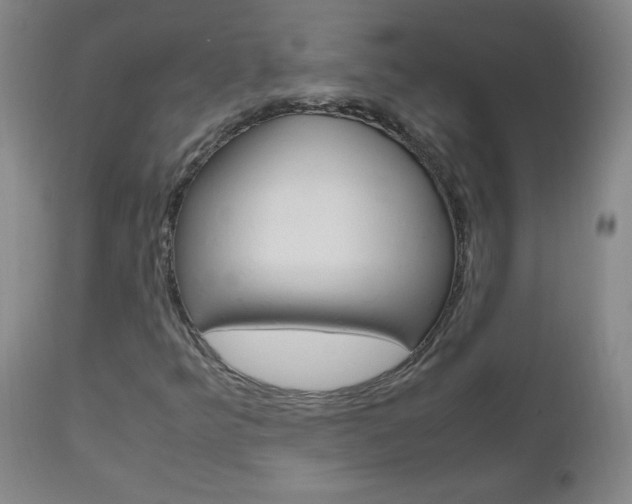 X0000112971349200908270933