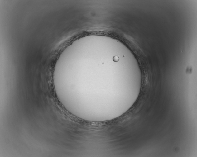 X0000112971350200908270933