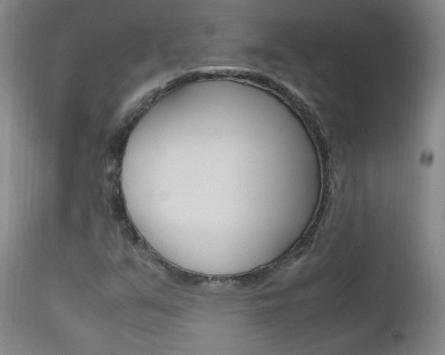 X0000112971351200908270933
