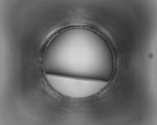 X0000112971352200908270933