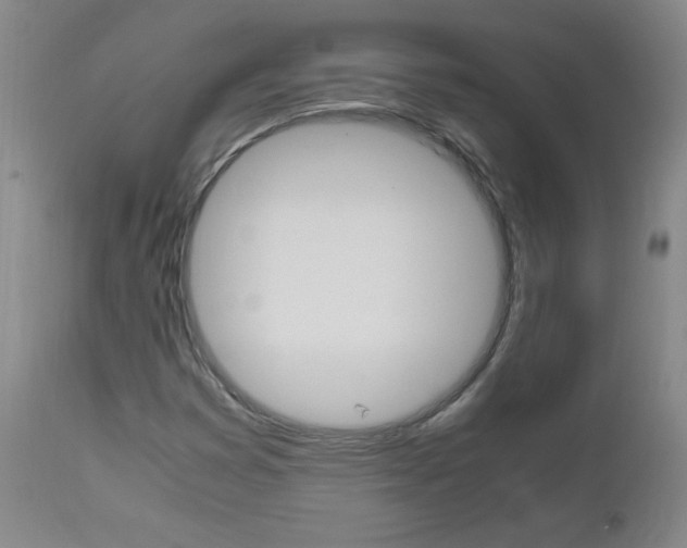 X0000112971353200908270933