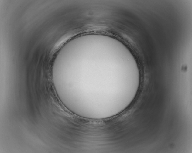 X0000112971354200908270933