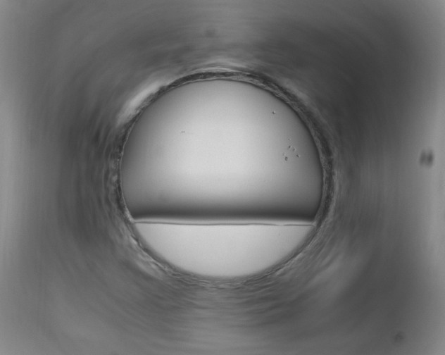 X0000112971355200908270933
