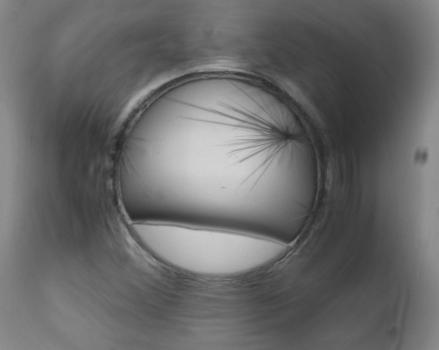 X0000112971356200908270933