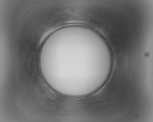 X0000112971357200908270933