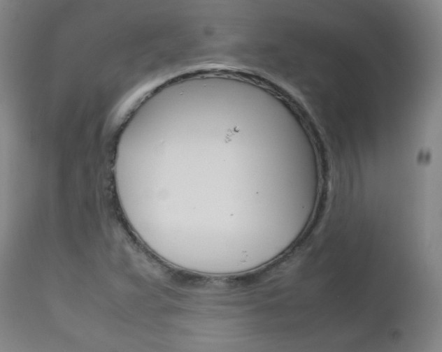 X0000112971359200908270933
