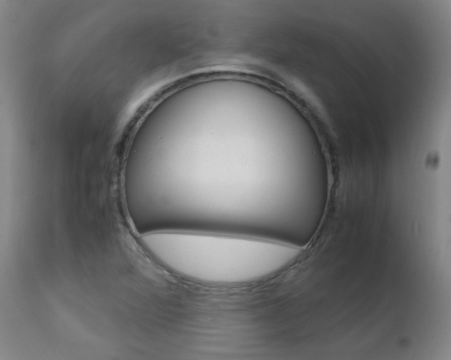 X0000112971360200908270933