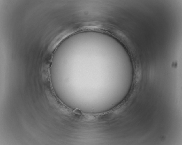 X0000112971361200908270933