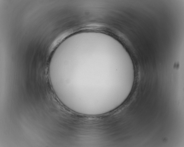 X0000112971362200908270933