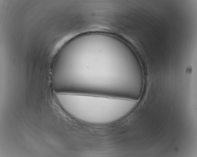 X0000112971363200908270933