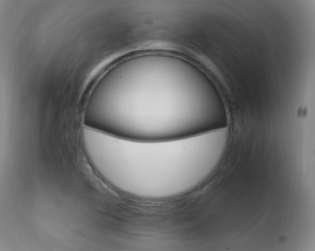 X0000112971364200908270933