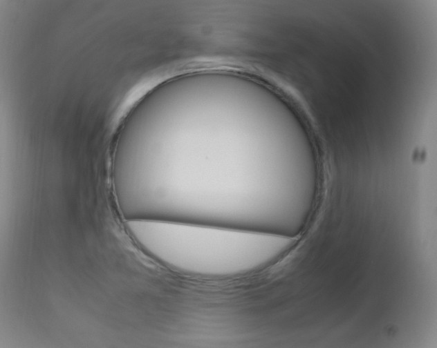 X0000112971365200908270933