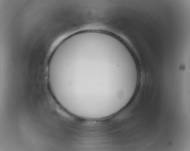 X0000112971366200908270933
