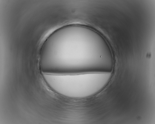 X0000112971367200908270933