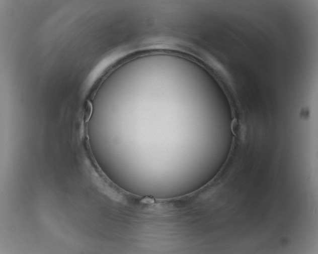 X0000112971368200908270933