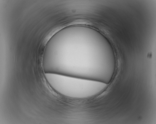 X0000112971369200908270933