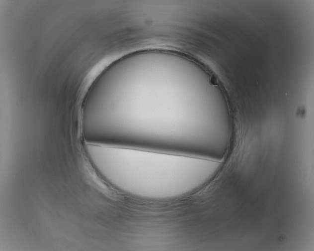 X0000112971371200908270933
