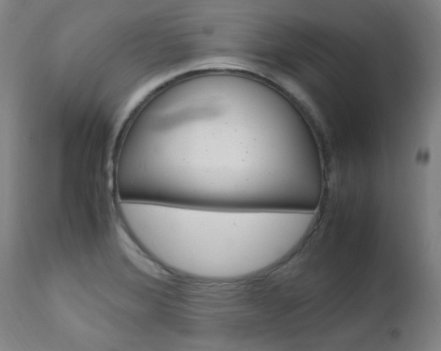 X0000112971372200908270933