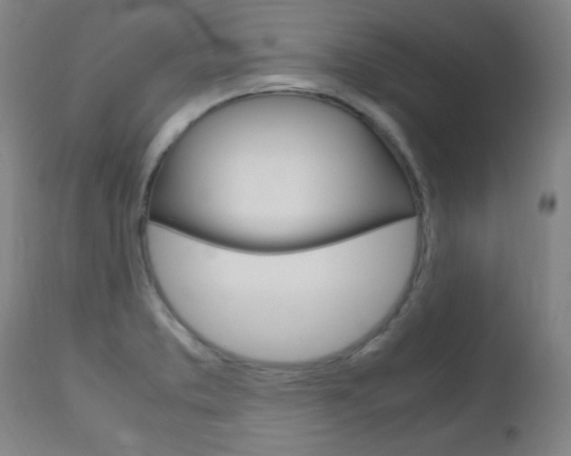 X0000112971373200908270933