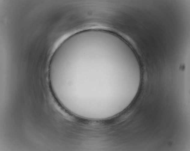 X0000112971375200908270933
