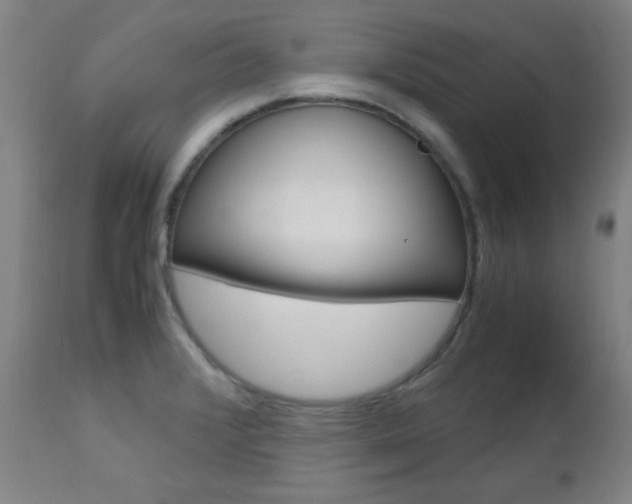 X0000112971376200908270933