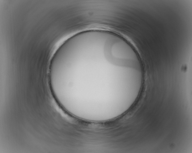 X0000112971379200908270933