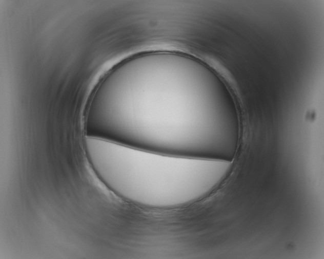 X0000112971380200908270933