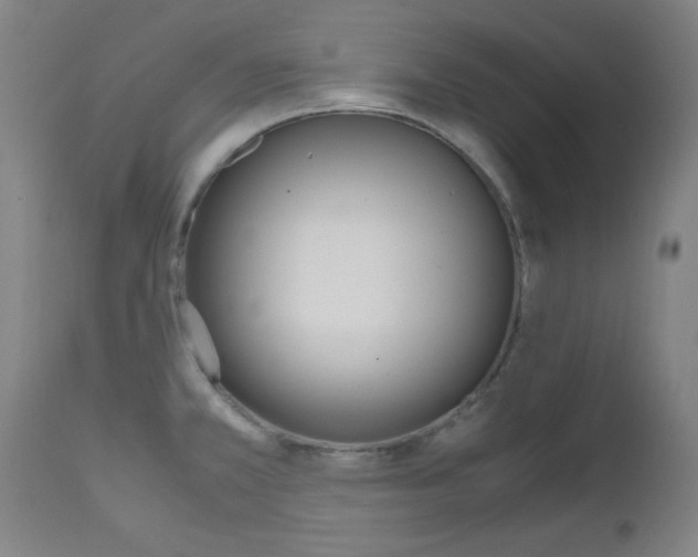 X0000112971381200908270933