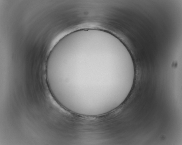 X0000112971382200908270933