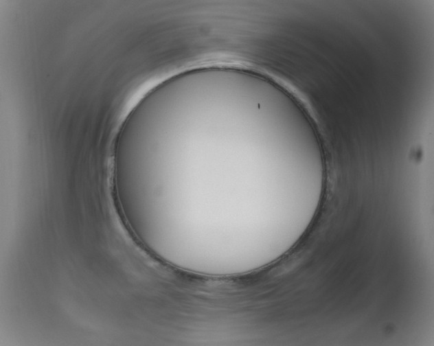 X0000112971383200908270933
