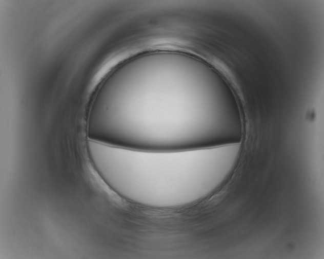X0000112971384200908270933
