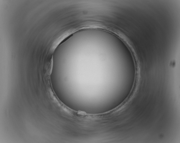 X0000112971385200908270933