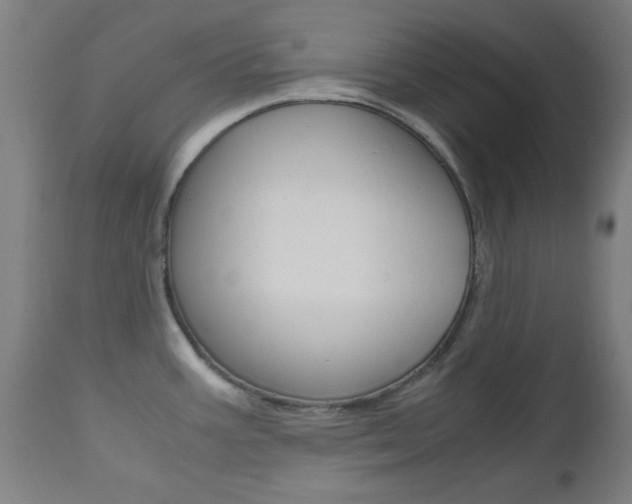 X0000112971387200908270933