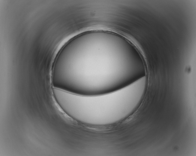 X0000112971388200908270933