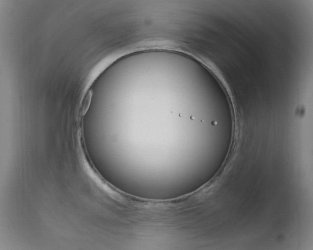 X0000112971389200908270933
