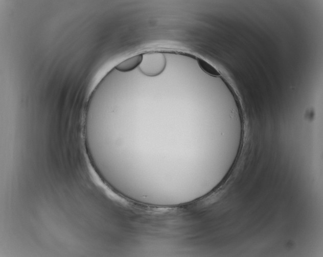 X0000112971390200908270933