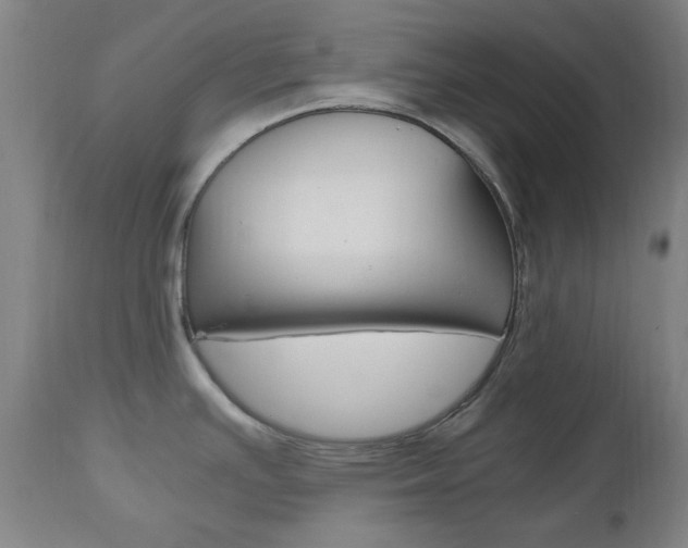X0000112971391200908270933