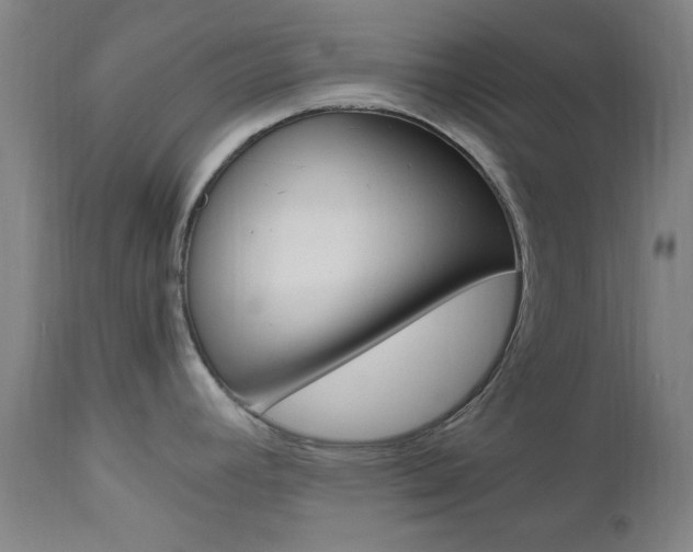 X0000112971392200908270933