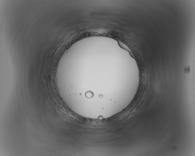 X0000112971393200908270932