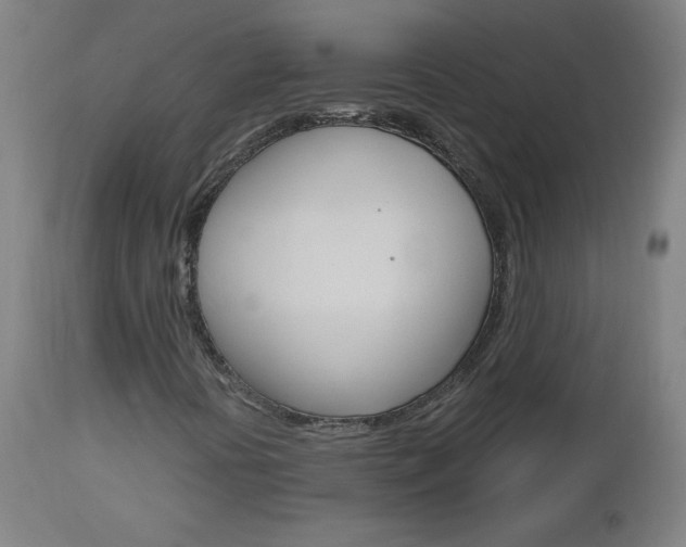 X0000112971394200908270932