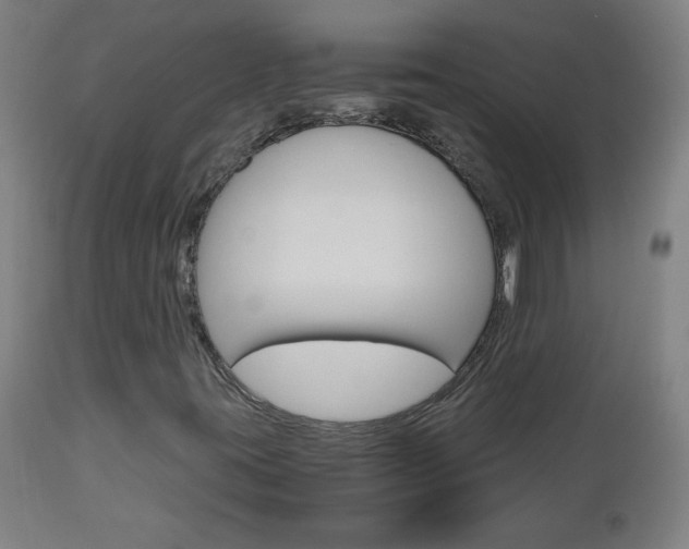 X0000112971395200908270932
