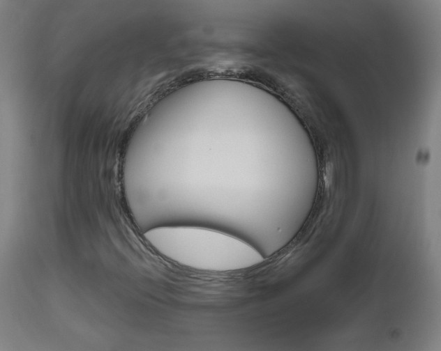 X0000112971396200908270932